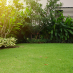 Easy To Care For Greenery